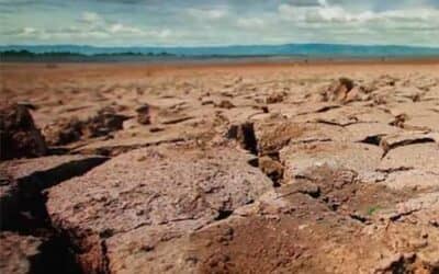 Ayuno por la Justicia Climática