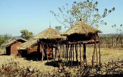 Colaboración con Mozambique