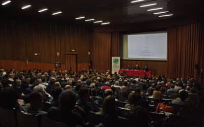 Oriente medio y la irrupción del Estado Islámico