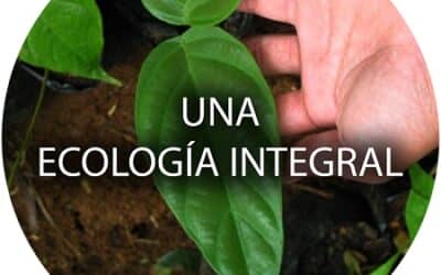 Grupo de trabajo sobre «Ecología integral» de la Conferencia Episcopal