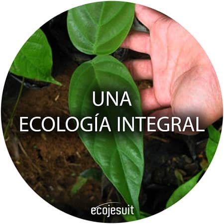 Grupo de trabajo sobre «Ecología integral» de la Conferencia Episcopal