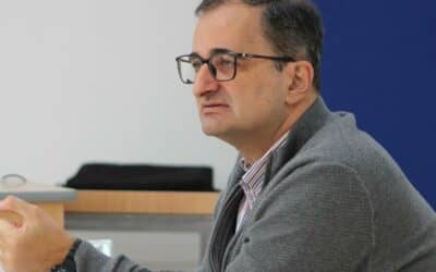 Organización 2