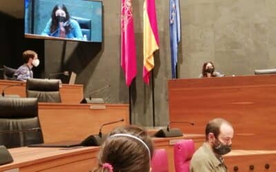 La realidad de la migración en la Frontera Sur llega al Parlamento de Navarra