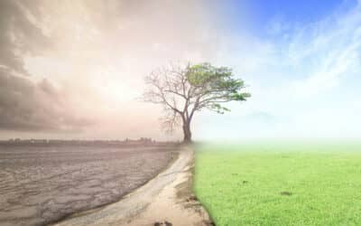 Una cuaresma de recogimiento para ser conscientes de nuestra relación con el planeta