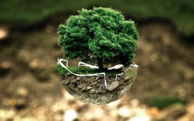 Nuestra mirada ante los retos ecológicos del mundo